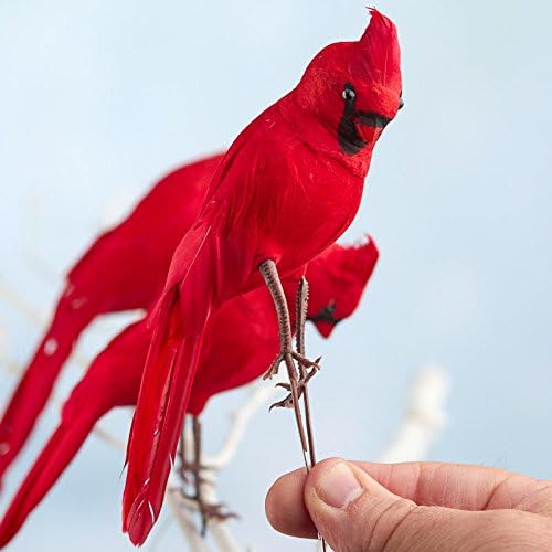 Factory Direct Craft Red Feathered Cardinal Birds | with Attached Wires | 12 Birds