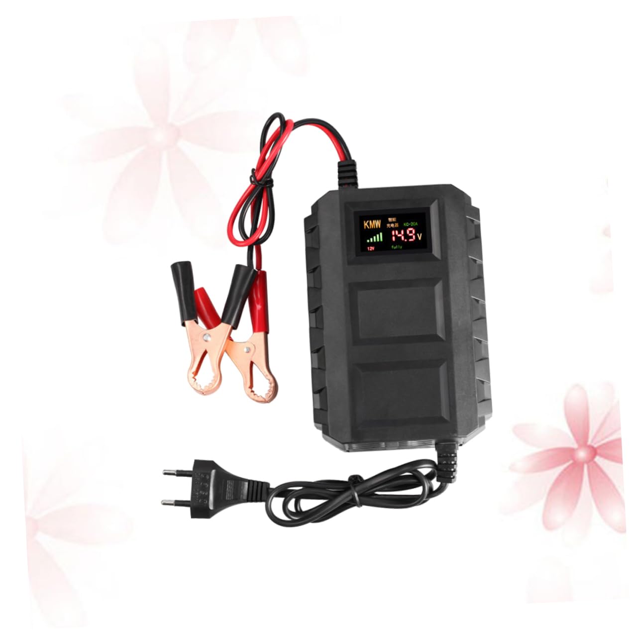Chargeur de Batterie Automobile 12 V 20 A Noir en Plastique