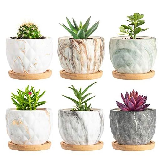 SKCORUK Succulent Pots 3.3inch Potted Modern Style Marble Ceramic Pot Cactus Bonsai Pot Container for Home and Office Decor 6 Pack(Plants NOT Included)