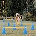 TNZMART Dog Agility Hurdle Cones Pet Jump Training Set Dog Agility Course Backyard Set Adjustable Obstacle Training Set (Blue, 6 Sets)