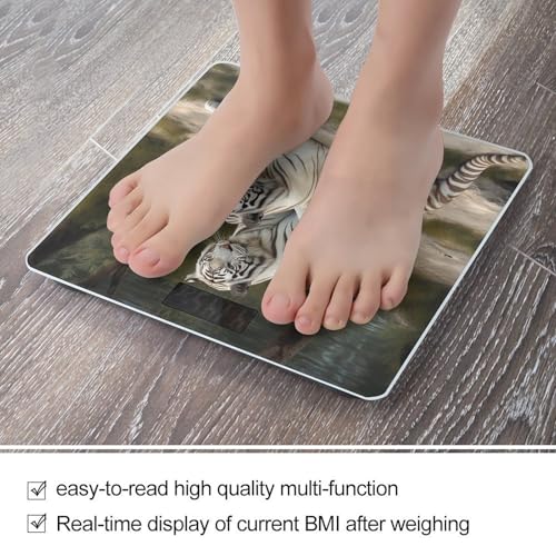 Báscula Digital de Baño Capacidad 400 lb Pantalla LCD miniatura 5