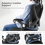 HUANUO Ergonomic Office Chair, High Back Desk Chair with Up&Down Lumbar Support, 3D Flip-Up Armrests, 2D Headrest, Swivel Computer Task Chair with Wheels and Tilt Function for Home & Office, HNOC13