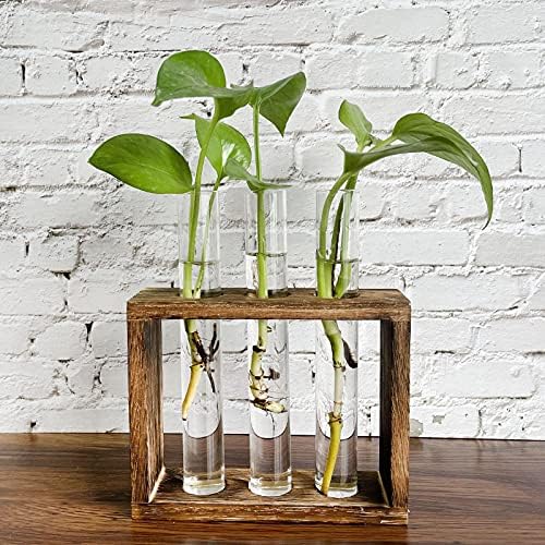 Pimaja Tube Propagation Station Wall Hanging Glass Vase in Wood Stand Rack Tabletop Terrarium with 3 Test Tube for Propagating Hydroponic Plants, Home Office Decoration