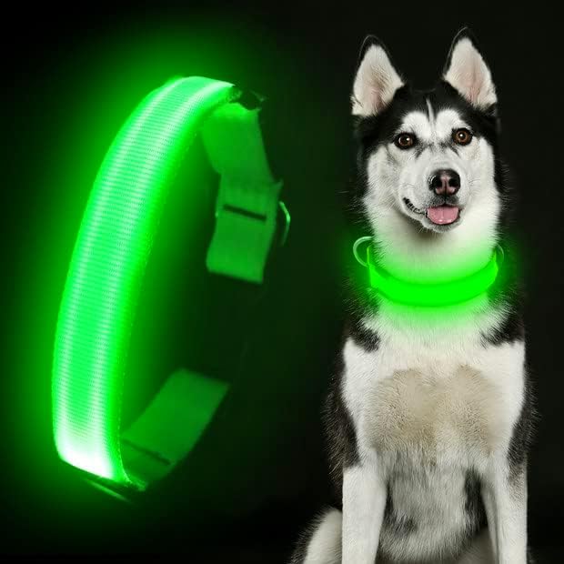 Miniatura 2 de Colaseeme Collar de perro con luz LED, recargable con micro USB, correa de nailon ajustable, hebilla de plástico, anillo D, collares básicos de