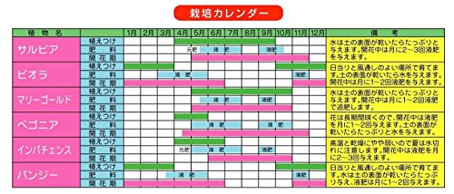カーネーションの鉢植え栽培に挑戦 植え替え 挿し木の方法など育て方のコツを紹介 2ページ目 暮らし の