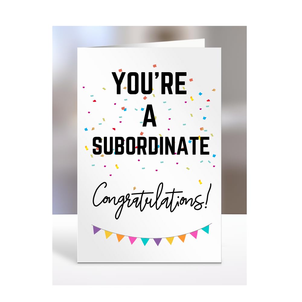You're a Subordinate card, gifts for men, women, him, her, female, male, presents for Christmas, new, congratulations, baby, you are, A5-173_206 โ image 1