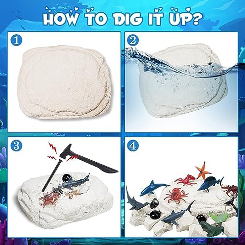 Ocean Animals Dig Kit - 12 Sea Animals, 3 Shell Snails, 3 Gems Toys Set, Ocean Life Excavation Science Kit for Fun Marine Party Favors Gift for 6-8,8-12 Kids Boys Girls… 4 517XMEYm23L. AC