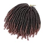 S-noilite Short Curly Afro Wig with Bangs for Women Kinky Curly Hair Wig for Black Women Synthetic H