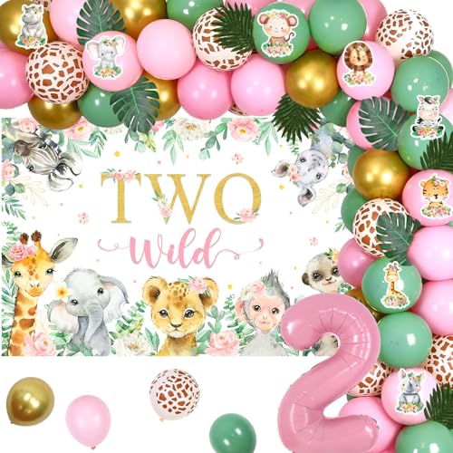 Dos decoraciones de cumpleaños salvajes para niña, safari rosa, decoraciones de segunda fiesta, dos telón de fondo salvaje y arco de globos verde salvia rosa, bosque, animales, rosa, número 2, globos