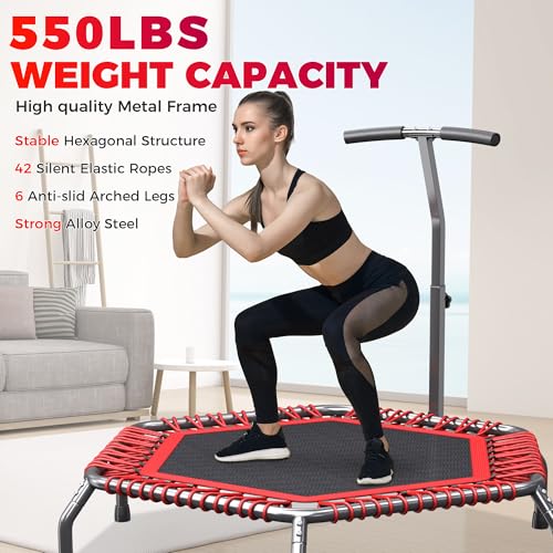 Image of 40 inch /48 inch Rebounder Trampoline for Adults with Bungee Cords, Exercise Rebounder for Adults Indoor /Outdoor Workout, Max Load 450 /550 LBS