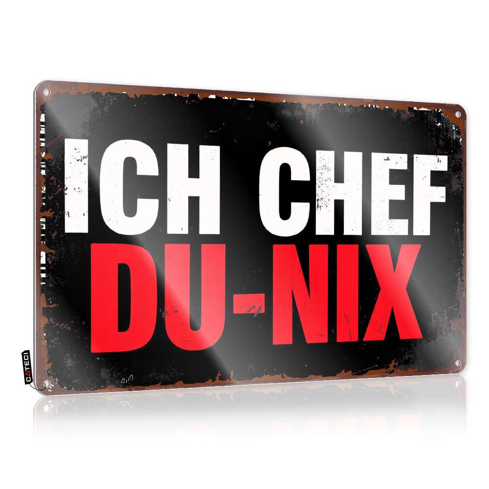 Funny Tin Signs Vintage I Am The Chef, You Are Not Tin Sign Decaor Sign Tin Signs(20X30CM)