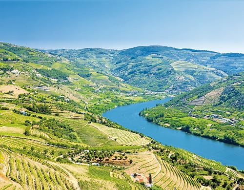 Ramos Pinto Late Bottled Vintage RP.LBV in Geschenkpackung Portwein (1 x 0.75 l)