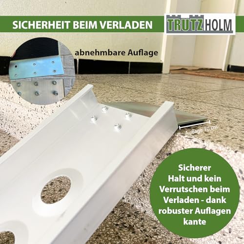 TRUTZHOLM Auffahrschiene klappbar 240 cm Tragkraft 50 kg Alu grau gelocht Fahrradrampe Rampe