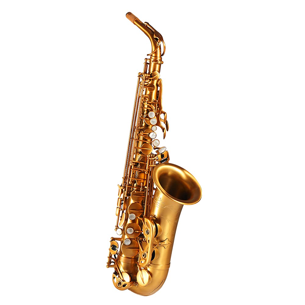 Rollins Saxophone alto RSA-X4,E flat,Selmer 54-Key,Matière laiton,Or
