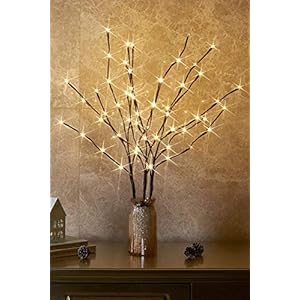 EAMBRITE 3PK 76cm Home Decorative Twig Lights Garden Stake Branch Lights with 60 Warm White LEDs Mains Powered Lighted…
