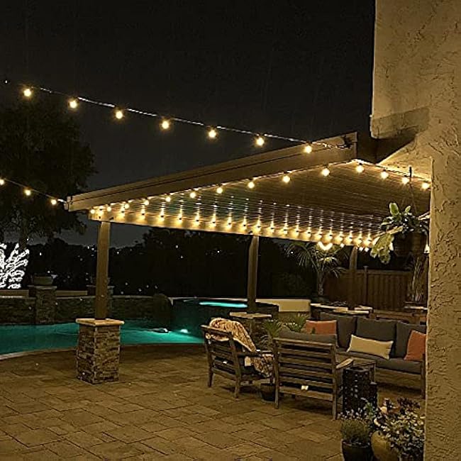 Novelty Lights 25 Pack G40 Warm White Outdoor Globe Lights, Glass Vintage Filament Bulbs, Globe String Lights Replacement