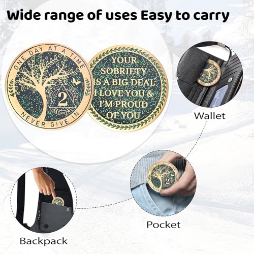 Image of LParkin 2 Year Sobriety Coin, Tree of Life Recovery Coin, AA Recovery Medallion, Anniversary Token Sobriety Gifts, Alcoholics Anonymous Medallion