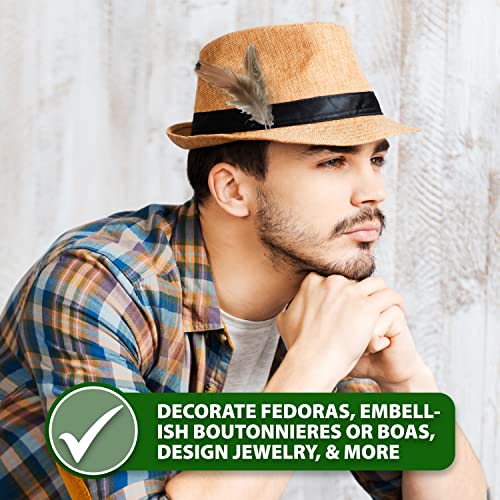 Craft Feathers - Natural Feathers - Loose Real Chicken Feather For Dream Catcher Jewelry Making Hats Crafts By Mandala Crafts 1.25 To 4.25 Inches 180 Pcs #TOP5