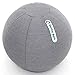 Doctor Bark Toy Ball Grigio