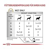 ROYAL CANIN Veterinary Urinary s/o Canine für Hunde | Doppelpack | 2 x 12 x 100 g | Feuchtnahrung für Hunde | Feine Stückchen in Soße | Zur Unterstütztung der Auflösung von Struvitsteinen