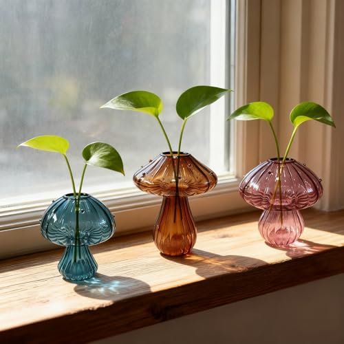 NOLIPED Glass Mushroom Propagation Planter - Set of 3 Cute Plant Propagation Stations for Indoor Plants Unique Small Hydroponic Vase Jars Mini Terrariums for Window Living Room Bathroom Shelf Decor