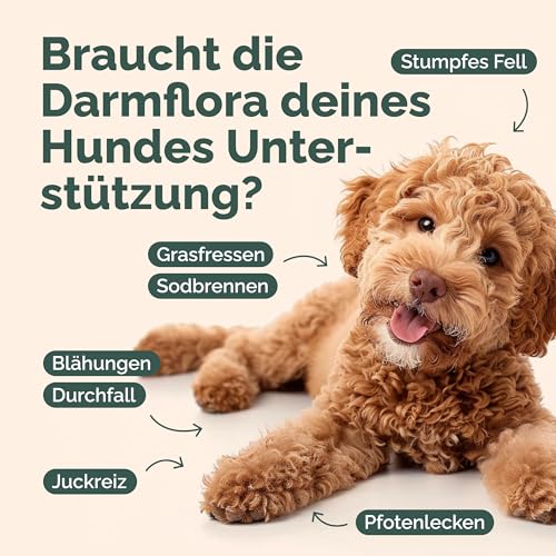 Vetura Probiotika-Mix für Hunde - 200 g - Natürliches Probiotika-Pulver - Präbiotika & Probiotika - Zur Unterstützung Einer gesunden Darmflora - Ohne künstliche Zusatzstoffe - Made in Germany