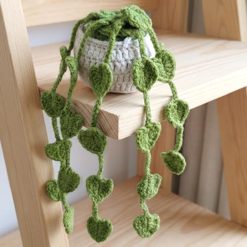 HFZRZFH Crochet Hanging Plant for Car, Cute Green Boho Auto Interior Decorations, Soft Knitted Rearview Mirror Hanging Accessories, Aesthetic Charm Ornament for Women by HFZRZFH - Used condition - Image 3
