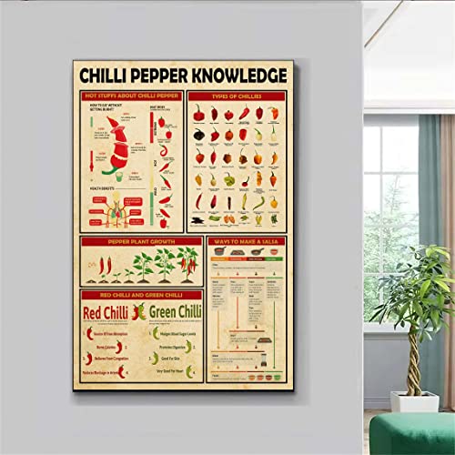 Plaque humoristique en métal rétro avec inscription « Chili Pepper Knowledge » - Hot Stuffs...