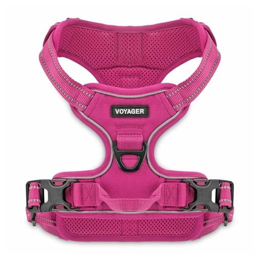 Voyager by Best Pet Supplies -Dual-attachment No-Pull Adjustable Harness with 3M Reflective Technology, (Fuchsia, Medium)