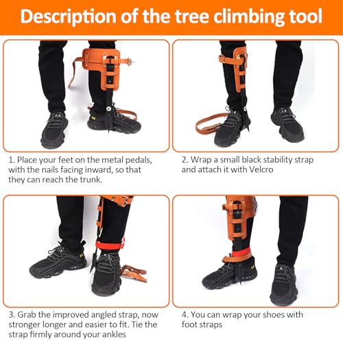 Image of Tree Climbing Gear, Tree Climbing Spikes, Tree Climbing Gear with Adjustable Climbing Straps and Steel Core Flip Line, Rock Climbing Kit with Triple Lock Lanyard Adjuster