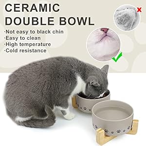 Ptlom Ceramic Pet Bowls for Dogs and Cats, Raised Dog Food and Water Bowl Set with Anti-Slip Wooden Stand, Pets Dish Feeding Bowls Suitable for Small, Medium, and Large Cats Dogs, Grey, 14 Oz