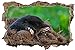 Maulwurf Natur Tier Wandtattoo Wandsticker Wandaufkleber D0926 Größe 70 cm x 110 cm