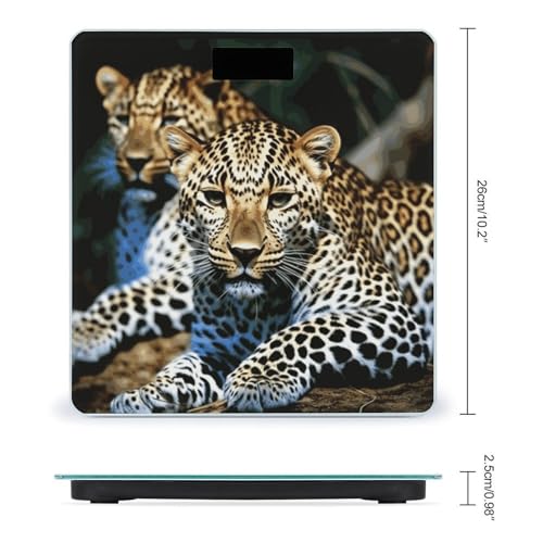 Balanza Digital para Baño con Pantalla LCD Grande miniatura 2