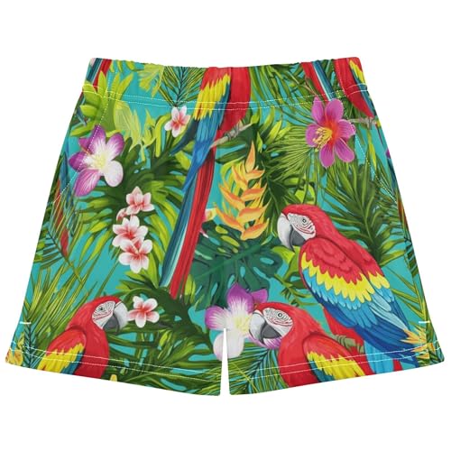 Girls Athletic Shorts Colorful Parrot Tropical Leaves Cute Summer Print Pajama Activewear for Kids Teens, X-Small