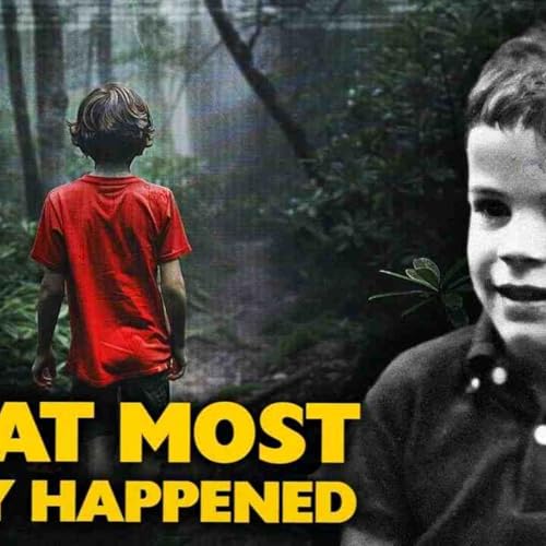 The Hide and Seek That Changed Everything_ What Most Likely Happened to Dennis Martin(MP3_160K) cover art