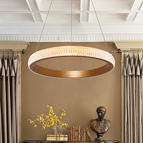 Leniure Modern Gold Circular Led Light Pendant Lamp Chandelier Lighting Fixture 16" Wide 1.6" High, Warm White 3000K #TOP4
