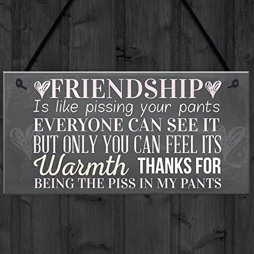 RED OCEAN Best Friend Sign Friendship Gift Funny Thank You Novelty Birthday Shabby Chic Hanging Plaque