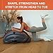 New Image Unisex All-in-One Inflatable Workout System, Grey, One Size