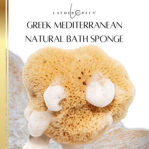 LATHER GREEN - Large Natural Sea Sponge for Bath & Shower | Luxuriously Soft & Exfoliating Body Scrubber | Unbleached & Plastic-Free | Long-Lasting &