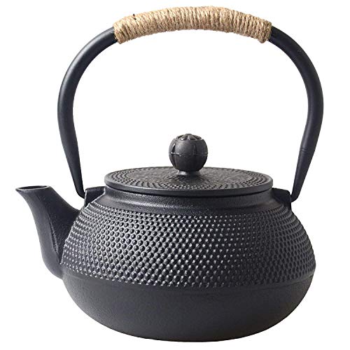 南 部鉄瓶 鉄器 急須 鉄分補給 おしゃれ ティーポット 直火 ih 対応 0.8L