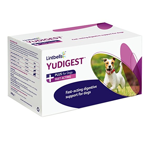 Lintbells Yudigest Plus For Dogs 60 Sachets