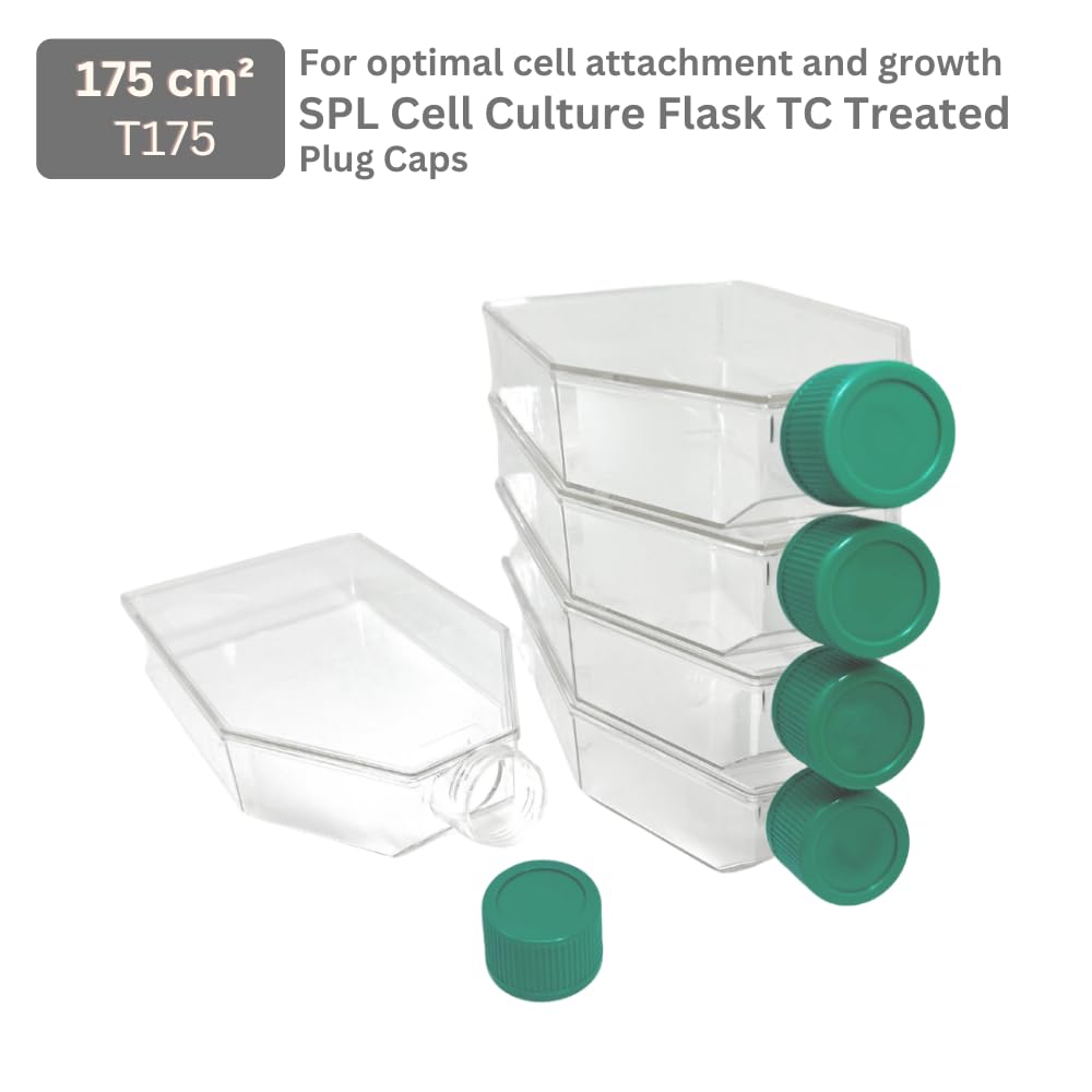 SPL Cell Culture Flask 175 cm2 (T175) Plug Cap, Treatment, Sterile, 40/Case