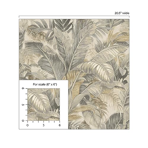 Image of Tommy Bahama Nassau Tropical Palm Peel and Stick Wallpaper, (Coconut Grey)