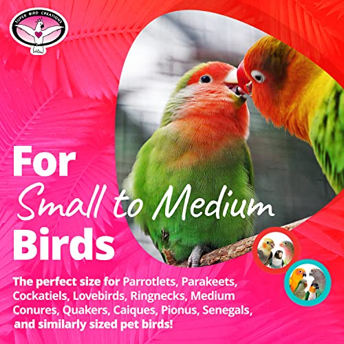 Image of Super Bird Creations SB1170 Balsa Perch & Play Bird Toy for Parrotlets, Parakeets, Cockatiel - Promotes Physical Activity, Curiosity, and Mental Engagement - Small /Medium Bird Size - 8 inch x 6 inch