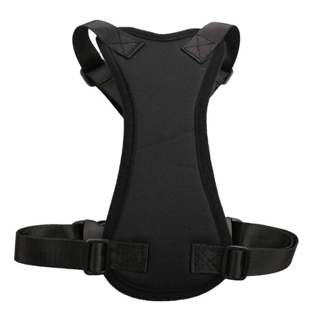 Arnés para Perros con Correa para Mascotas, Chaleco para cinturón de Seguridad de Coche para Cachorros, arnés Ajustable, Seguridad para vehículos, Suministros para Mascotas, Color Aleatorio M Little