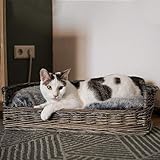 UNUS Hundebett Hundekorb Hundekörbchen aus Weide mit Kissen S für Hunde und Katzen grau 61 x 44,5 x 15,5 cm