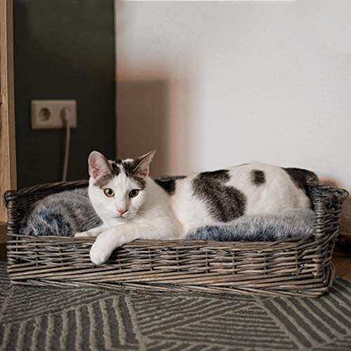 UNUS Hundebett Hundekorb Hundekörbchen aus Weide mit Kissen S für Hunde und Katzen grau 61 x 44,5 x 15,5 cm