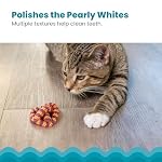 Catstages Plaque Away Pretzel Cat Toy – Interactive Catnip Dental Chew Toy to Help Clean Teeth, Fun for Play and Chewing, Orange - Image 4
