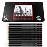 Set Crayon Materiel de Dessin et Croquis, 12 Pièces, Avec Boîte En Fer Boîte, Crayons Dess...