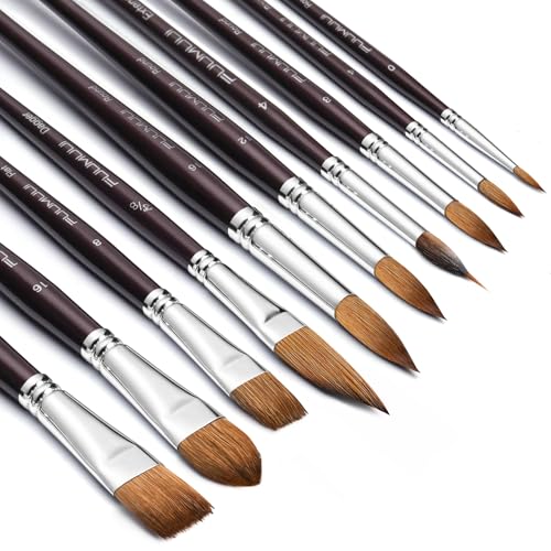 Fuumuui Sable Watercolor Brushes, Professional 10Pcs Sable Paint Brush Set Variety Shapes with Flats, Extended Needle Point, Dagger, Cat's Tongue, Rounds Perfect for Watercolor Acrylic Gouac